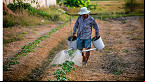 Saiu no DOU! Governo autoriza renegociação de dívida rural no RS