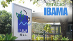 Estágio Ibama: inscrições abertas para nível médio e superior